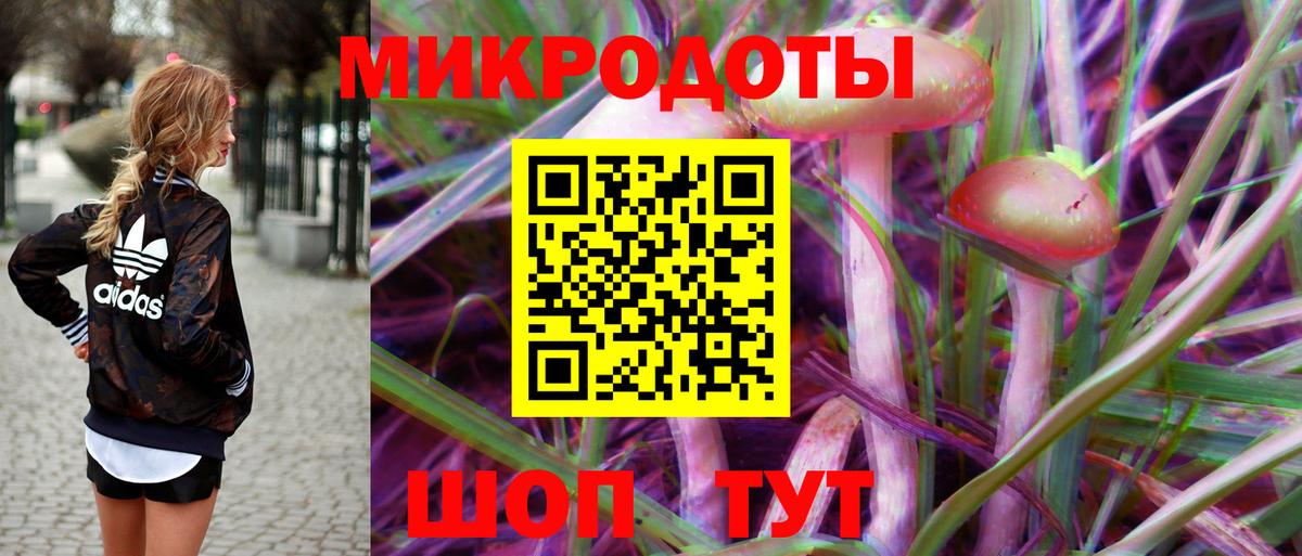 Псилоцибиновые грибы MAGIC MUSHROOMS  Вход с VPN  Советская Гавань 