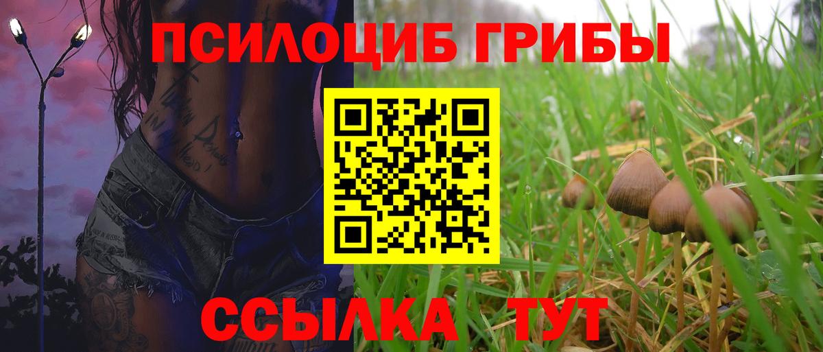 Псилоцибиновые грибы MAGIC MUSHROOMS Советская Гавань